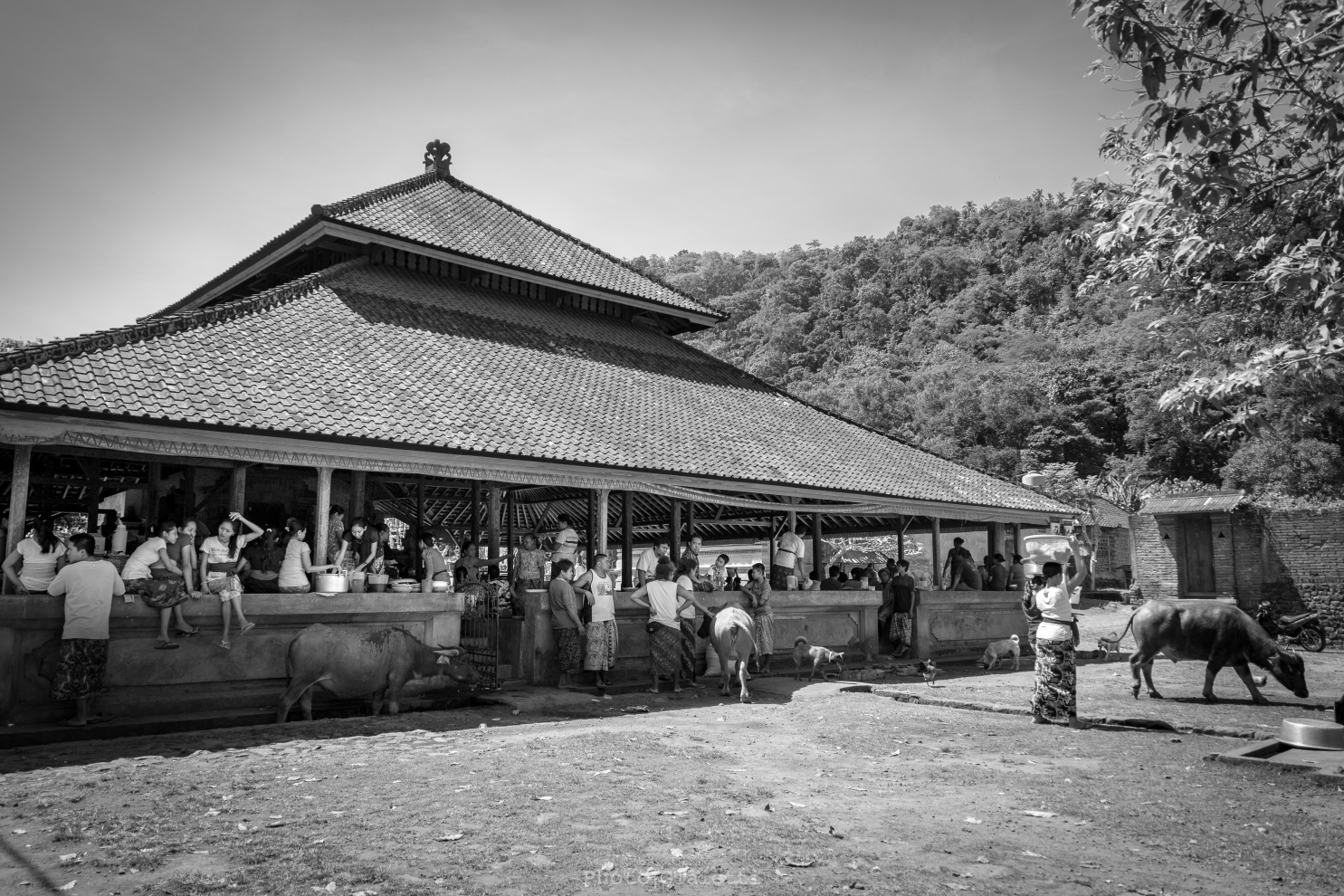 Bali - Villaggio Tenganan