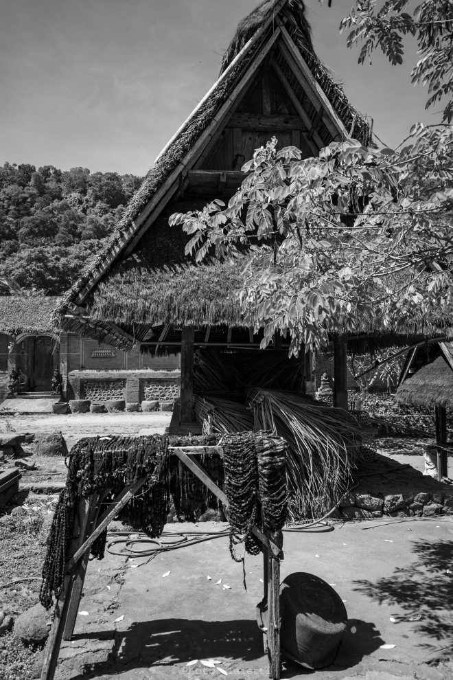Bali - Villaggio Tenganan