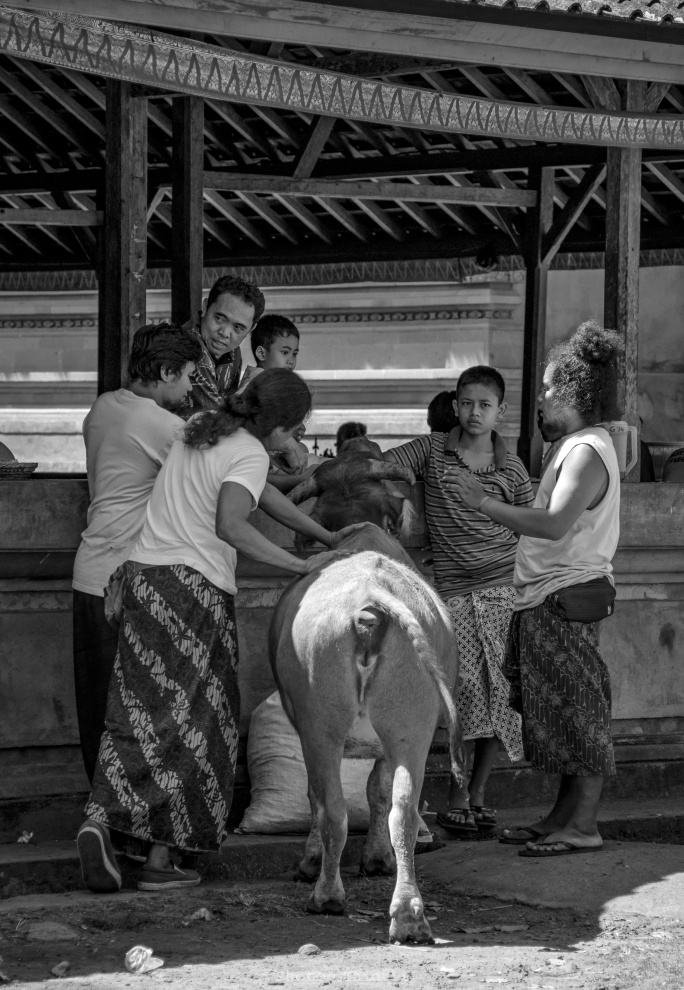 Bali - Villaggio Tenganan